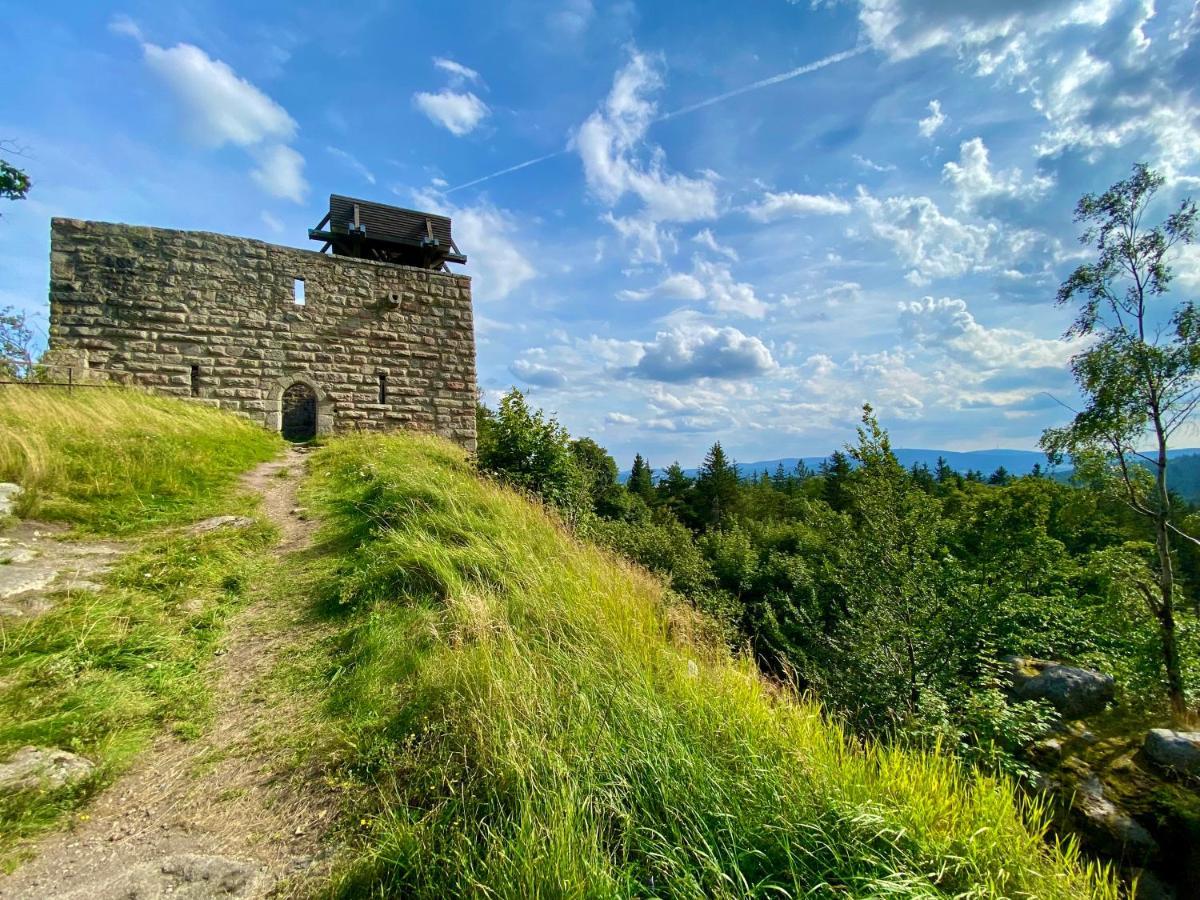 Ferienwohnung Oxana Im Naturpark Fichtelgebirge Schonwald  Kültér fotó