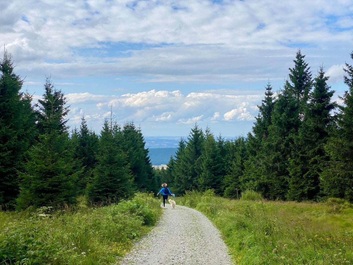 Ferienwohnung Oxana Im Naturpark Fichtelgebirge Schonwald  Kültér fotó
