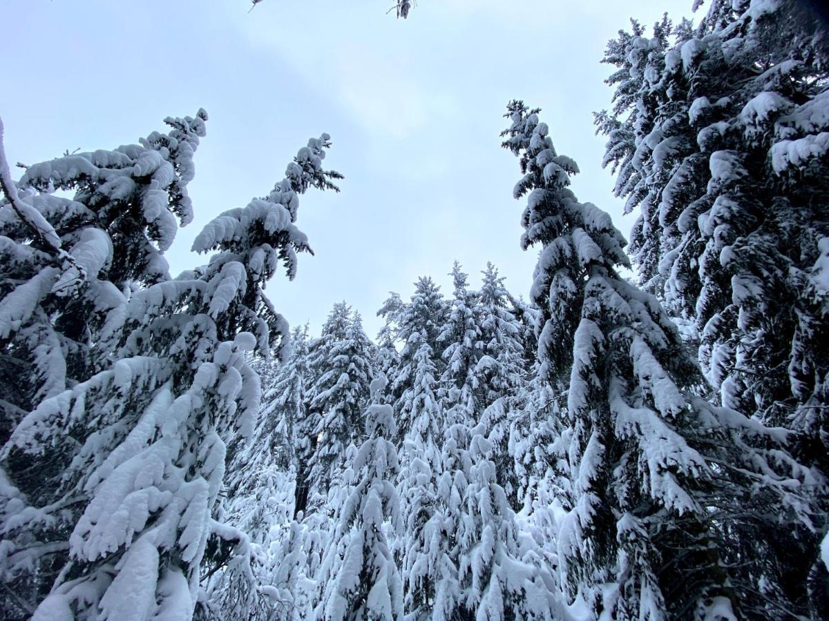 Ferienwohnung Oxana Im Naturpark Fichtelgebirge Schonwald  Kültér fotó