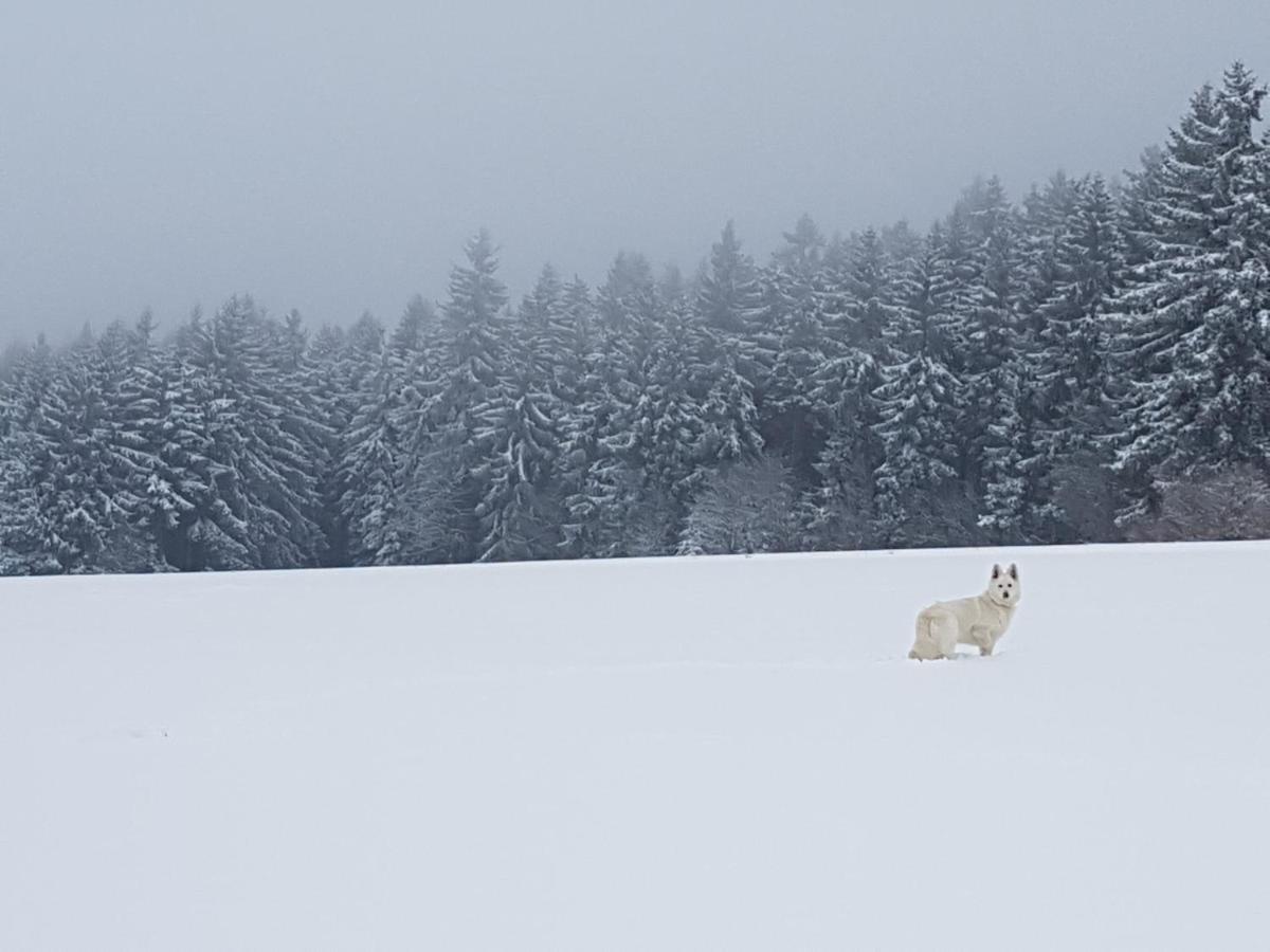 Ferienwohnung Oxana Im Naturpark Fichtelgebirge Schonwald  Kültér fotó