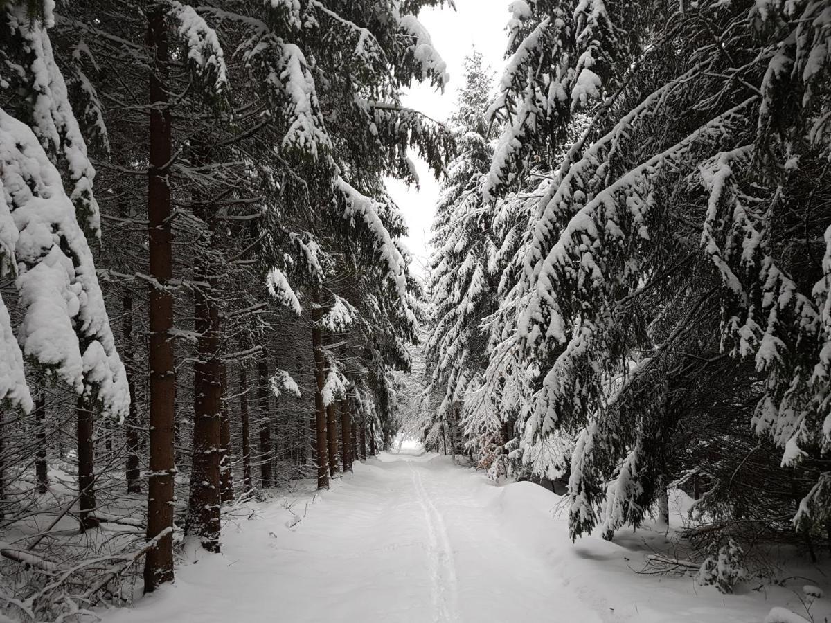 Ferienwohnung Oxana Im Naturpark Fichtelgebirge Schonwald  Kültér fotó
