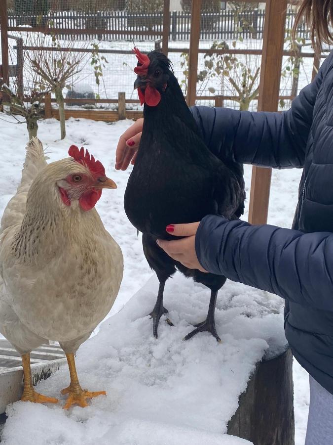 Ferienwohnung Oxana Im Naturpark Fichtelgebirge Schonwald  Kültér fotó